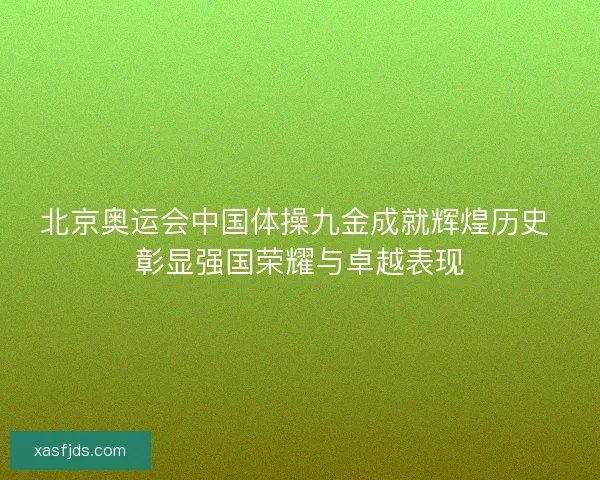 北京奥运会中国体操九金成就辉煌历史 彰显强国荣耀与卓越表现 北京奥运会中国体操九金成就辉煌历史 彰显强国荣耀与卓越表现
